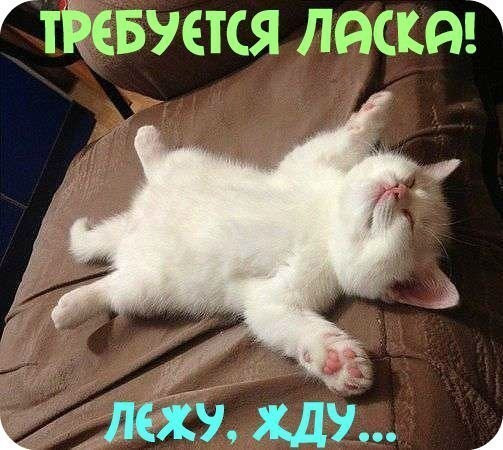 Срочно...