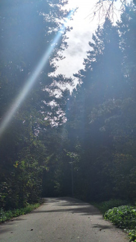А жизнь летит,и жить охота,И слепо мечутся сердца.Меж оптимизмом идиота,И пессимизмом мудреца