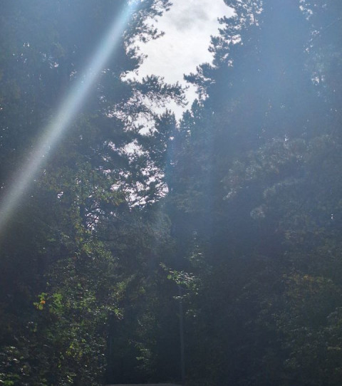 А жизнь летит,и жить охота,И слепо мечутся сердца.Меж оптимизмом идиота,И пессимизмом мудреца