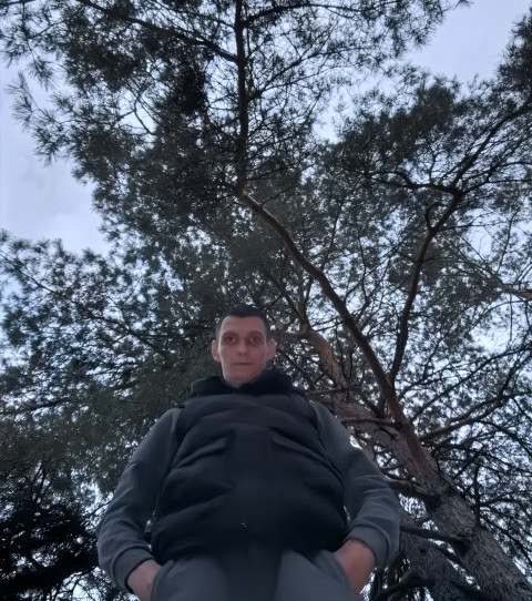 7f196dcd
